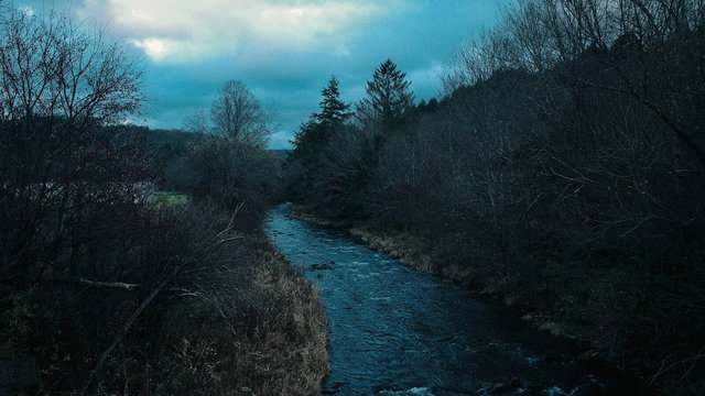 R0003887.jpg