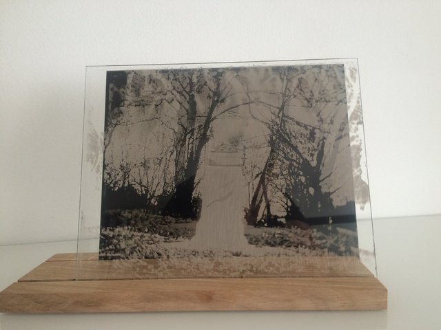 Installation-VERDUN IN MEMORIAM-collodion-011.JPG