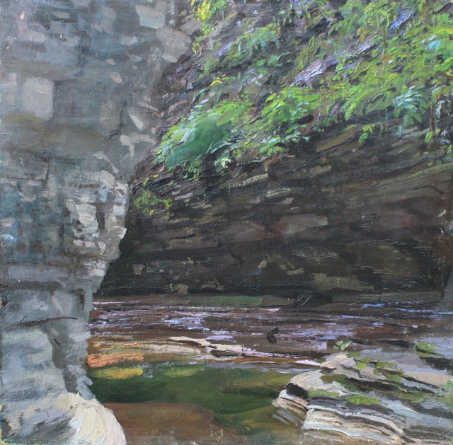 Watkins Glen Succulents 26 x 26"