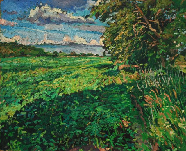 Illinois- Soybeans 26 x 32"