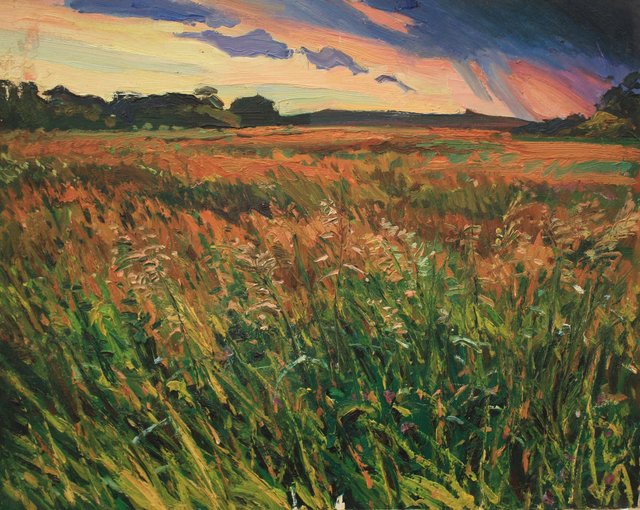Illinois Storm 24 x 30"