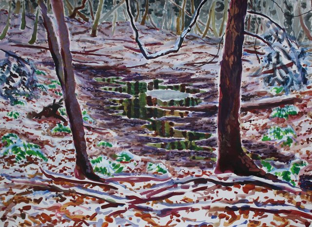 Vernal Pool- Winter, 22 x 30"