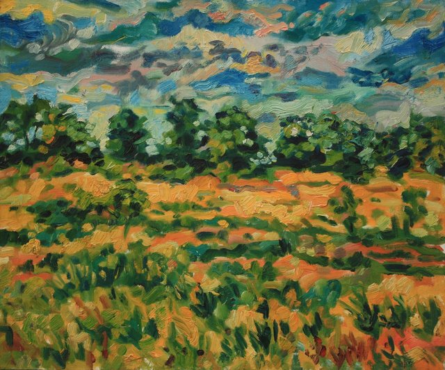 Illinois August 24 x 30"