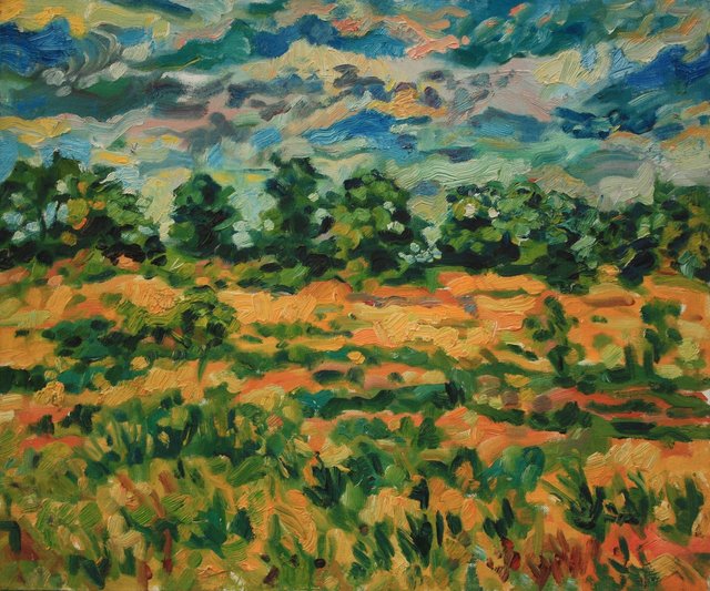 Illinois August    24 x 30"