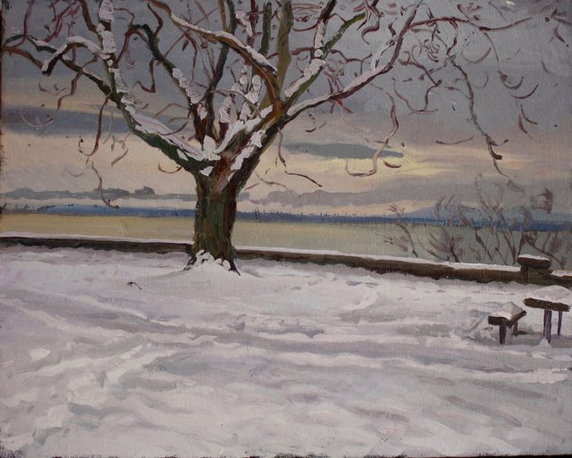 Maple in Snow 25 x 31"