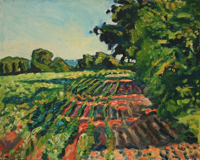 New Soybeans- Illinois 24 x 30"