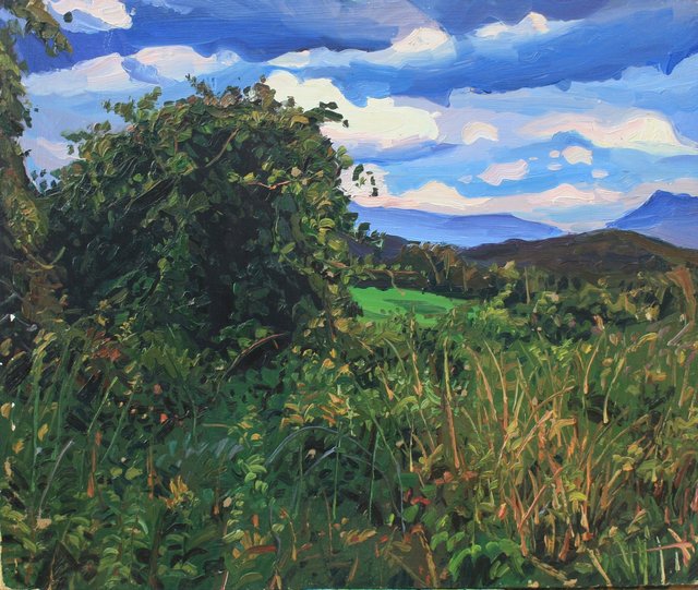 Vermont Wild Grape     20 x 24"