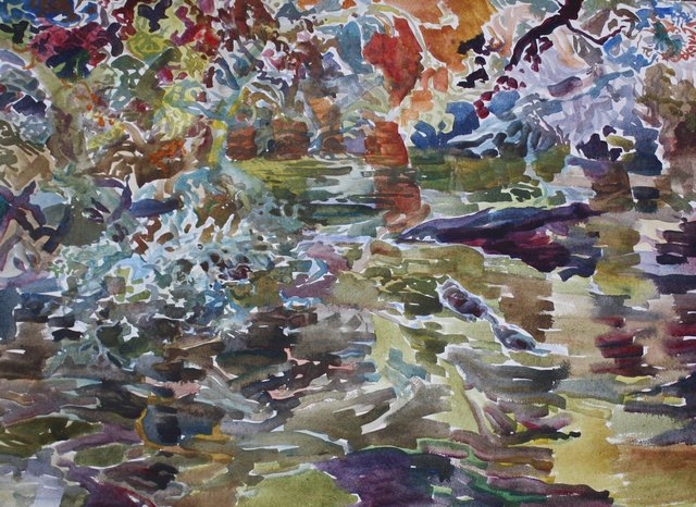 Wood Duck, 22 x 30"