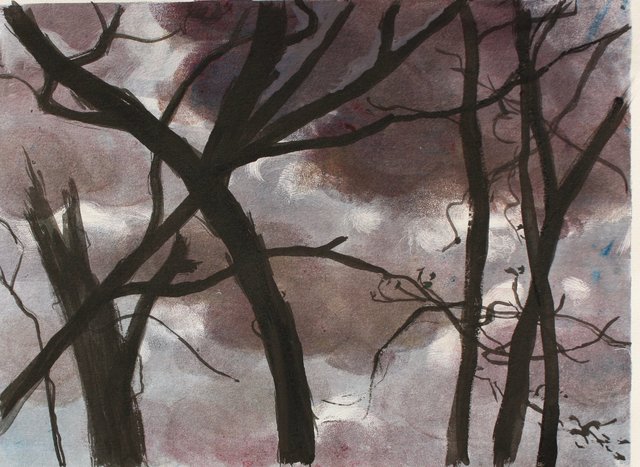 Ithaca Night 10 x 13"