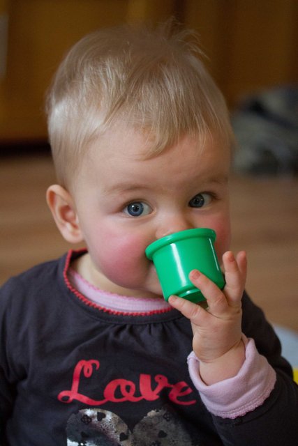 Fenna 22dec12-17.jpg