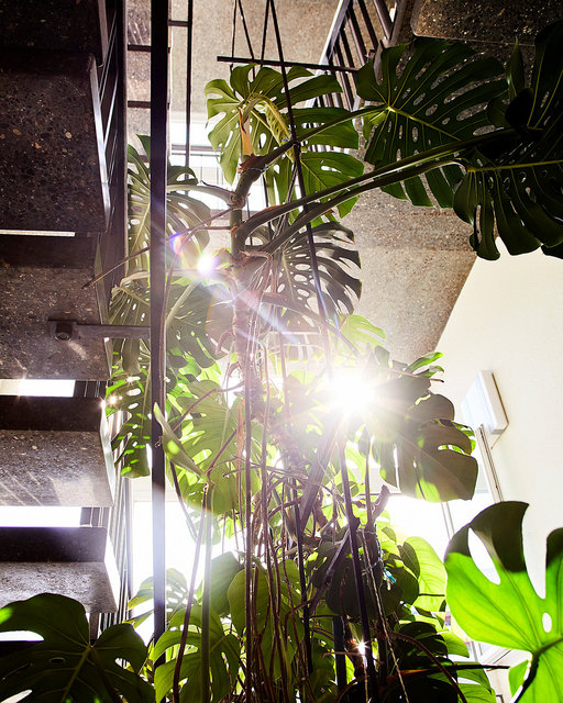 HELLOSTUDIO_617.jpg