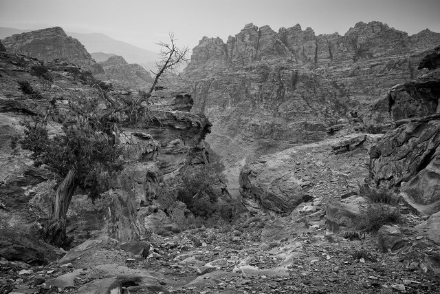 L1004405sef2_1500px.jpg