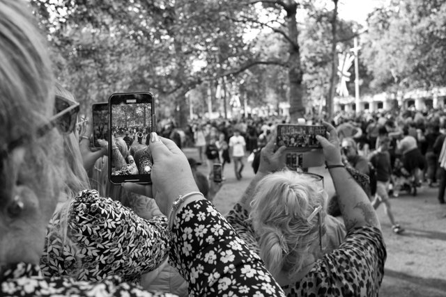 L1009674sef2_1500px.jpg