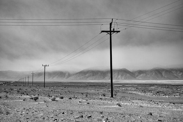 L1002846sef2_1500px.jpg
