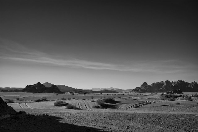 L1004166sef2_1500px.jpg
