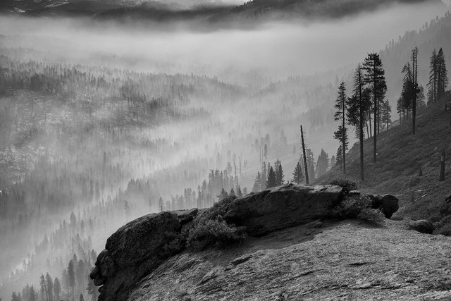 L1012012sef2_1500px.jpg