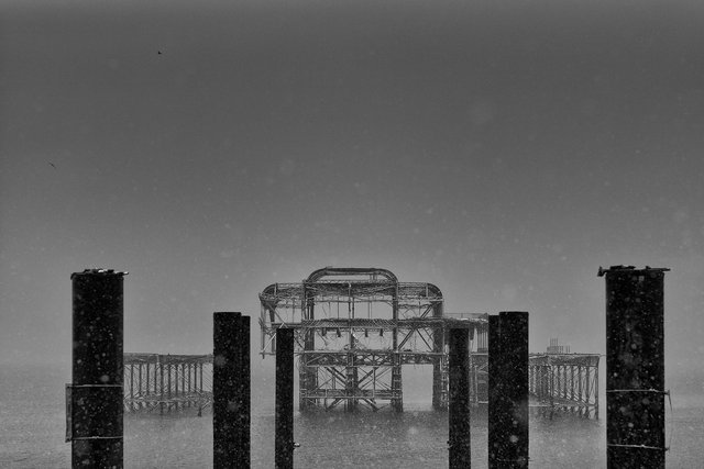 L1005980sef2_1500px.jpg