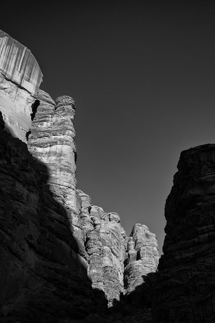 L1004178sef2_1500px.jpg
