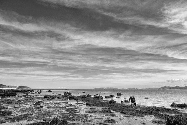 Menai bait_1500px_OM.jpg