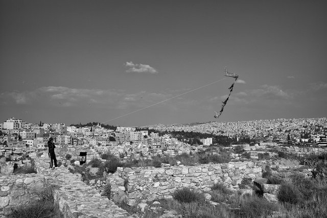 L1004745sef2_1500px.jpg