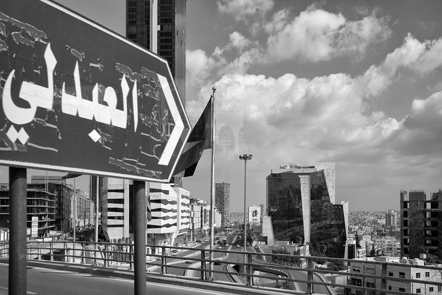 L1004694sef2_1500px.jpg