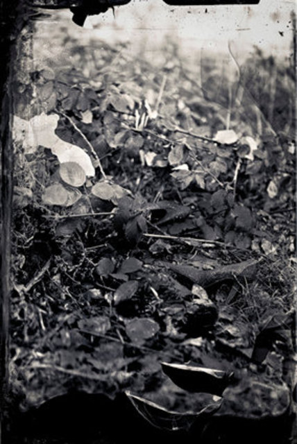 The day after 002-002 15x10.jpg