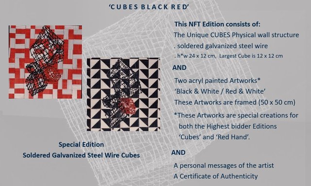 Bidders Edition Cubes.JPG