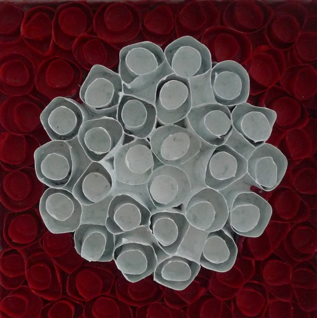 Witte Pracht - White Splendor