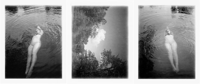 Mayfly-triptych.jpg