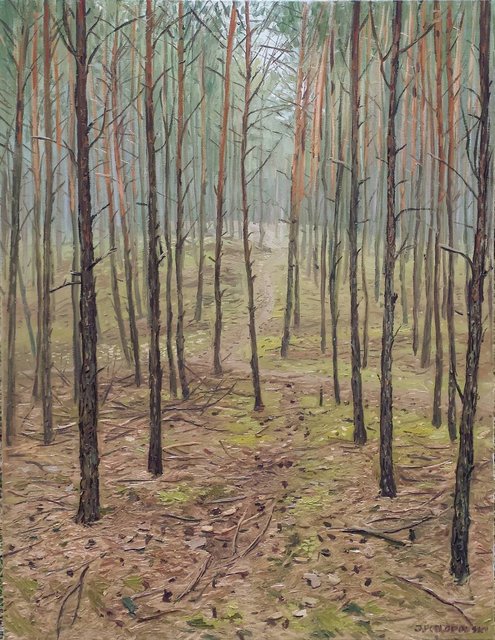 Las z Radomyśla nad Sanem 80x60 olej płótno 2016