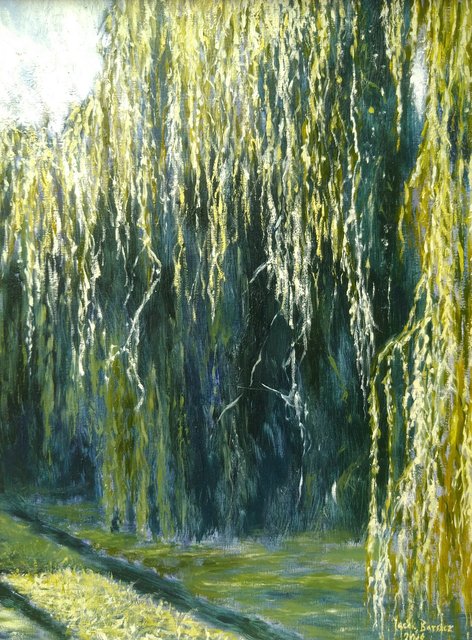 Wierzby - Zasłona - Droga w głąb 61x46 olej płótno 2018