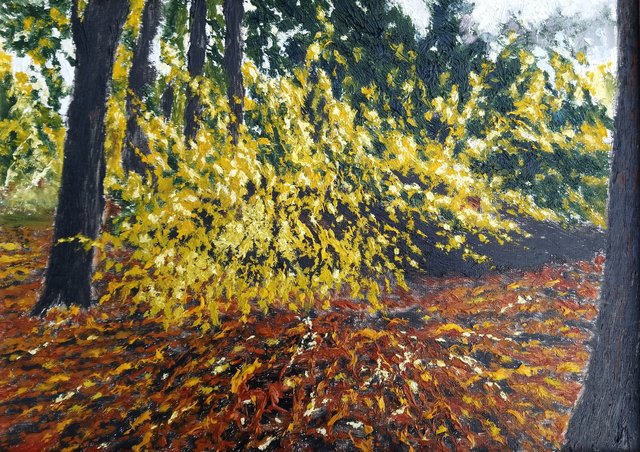 Jesień w Łazienkach Królewskich 33x46 olej płótno 2018