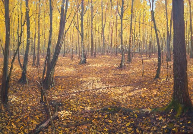 Jesienny las 70x100 olej płótno 2019