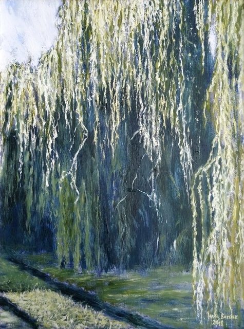 Wierzby - Zasłona - Droga w głąb 61x46 olej płótno 2018