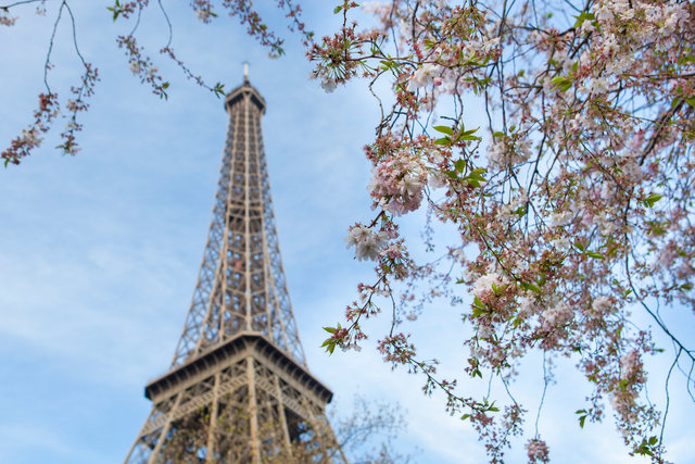 paris_folio-9382.jpg