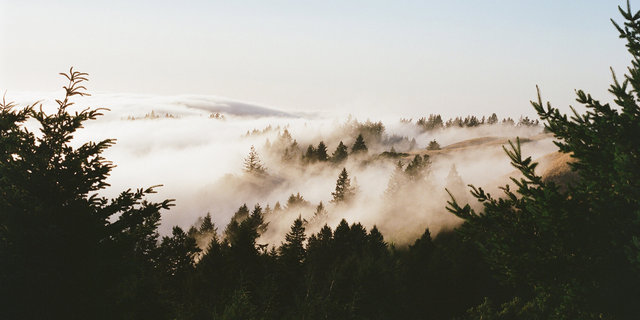 25330008crop04.jpg
