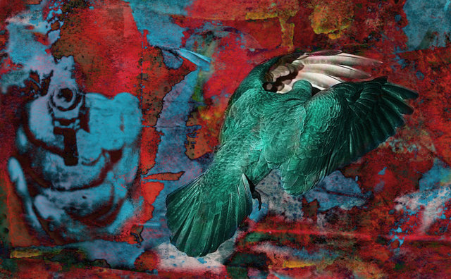 Guns&Doves, vigrafia 095, 112x78