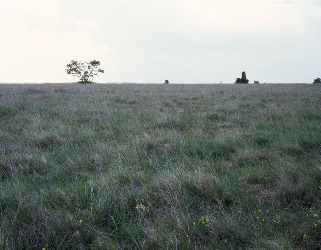 Črni Kal, 2011