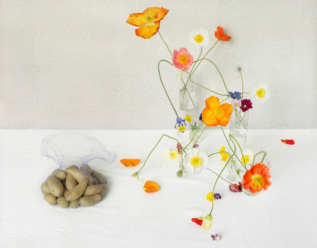 Potatoes and Poppies, c 2010