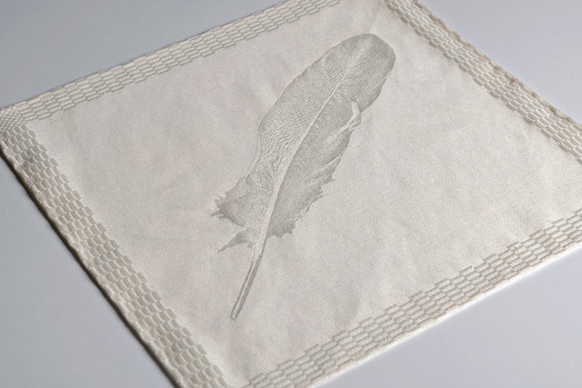 a swan's feather