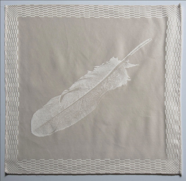 a swan's feather