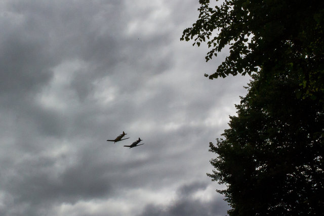 Two Harvards