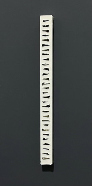 teeth stick 1 -58x4.5x3 cm- 2025