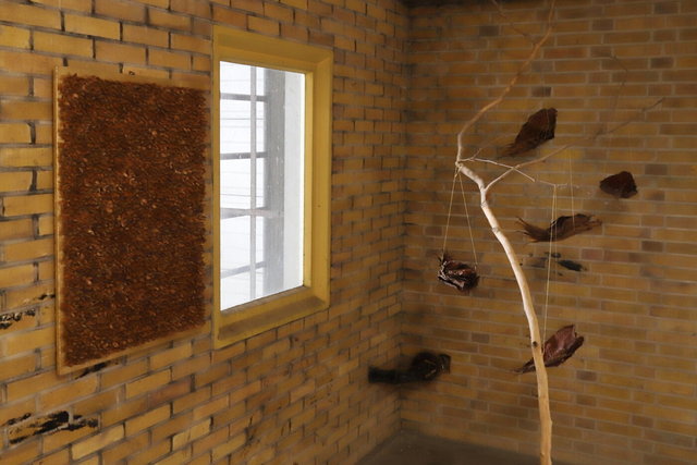 zwolle harculocentrale > ijsselbiënnale 2023 > installatie goud - visualsbynature