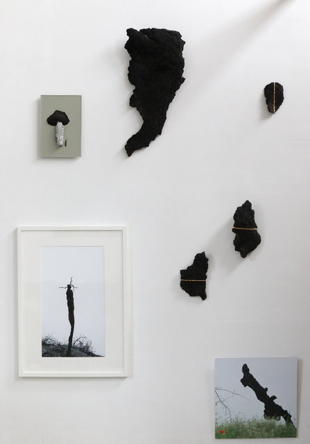 Brand/Fogo - divers werk op muur - 2025