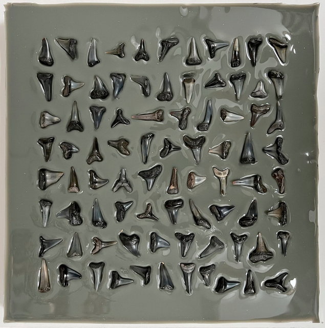 jawsart -preserving sharkteeth 2