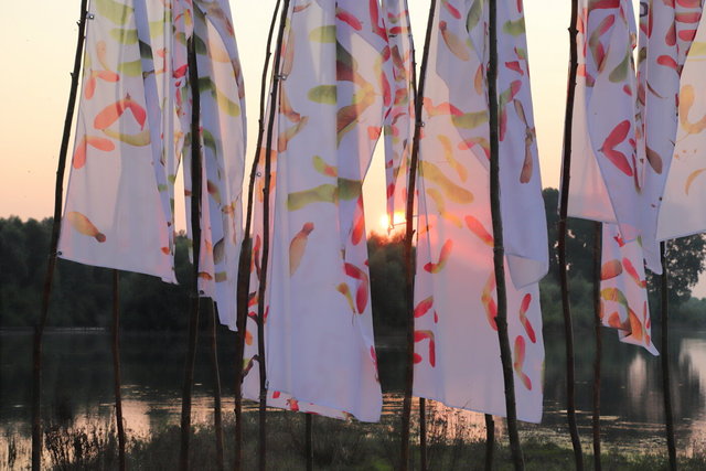 deventer ossenwaard > ijsselbiënnale 2021 >ijsselwind - visualsbynature