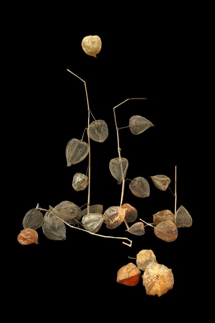 nagloeien februari 2024