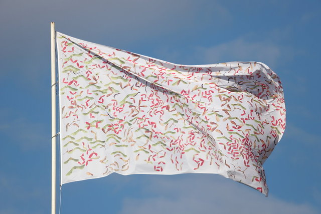 deventer eicas > ijsselbiënnale 2021 > ijsselwind - visualsbynature