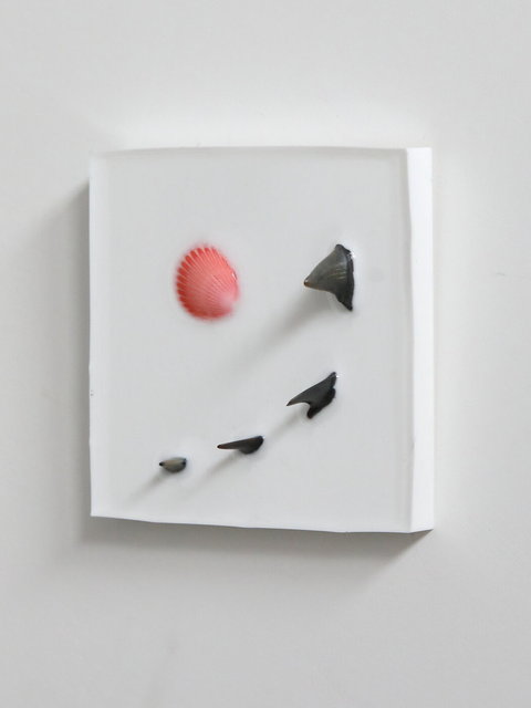 the beauty and the beasts 5 - schoonheid heeft haaien als ontbijt - 10x10cm- 2026